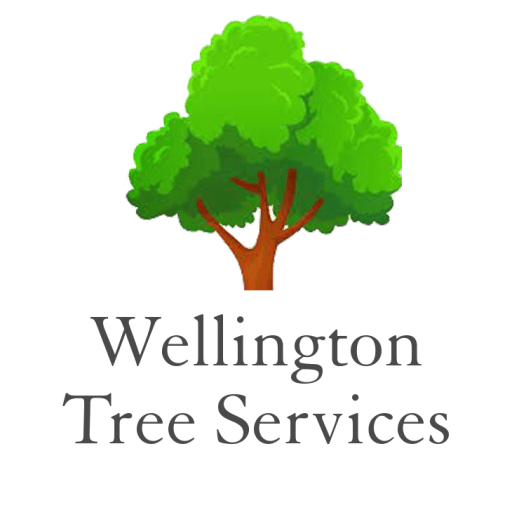 tree service wellington