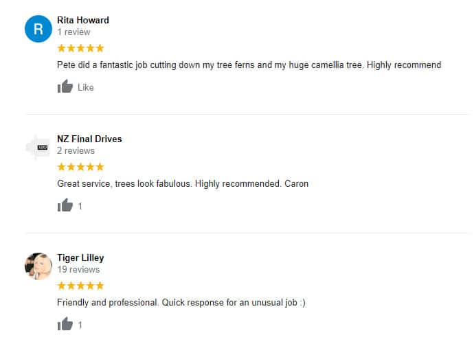 reviews on wellington trees