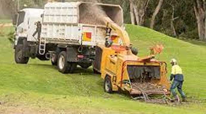 wellington tree services about us page - services tree felling and pruning